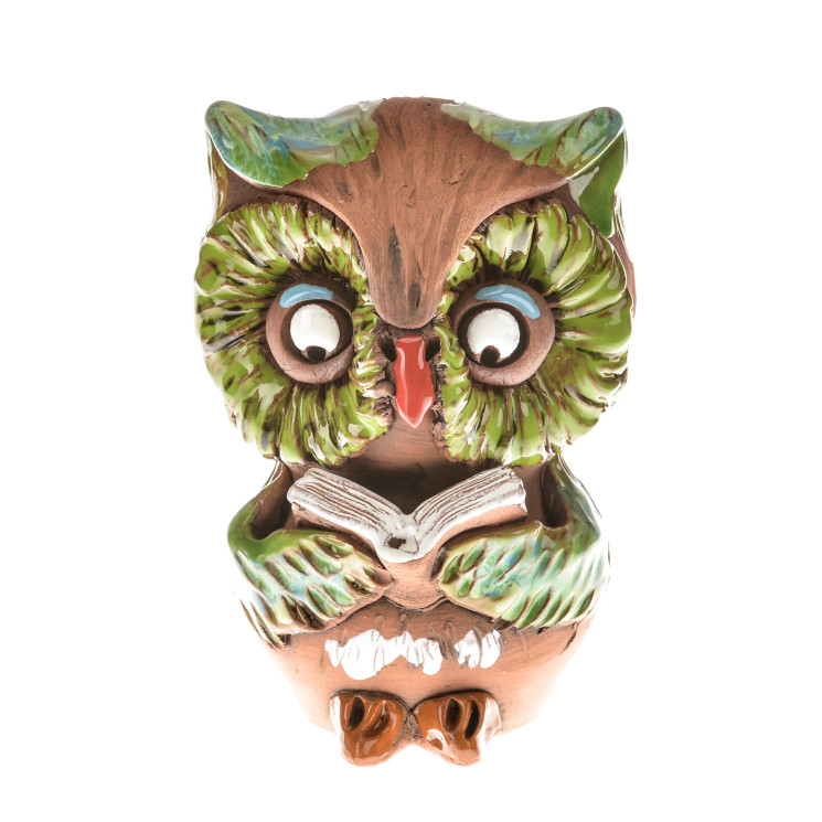 Taupyklė - pelėda su knyga